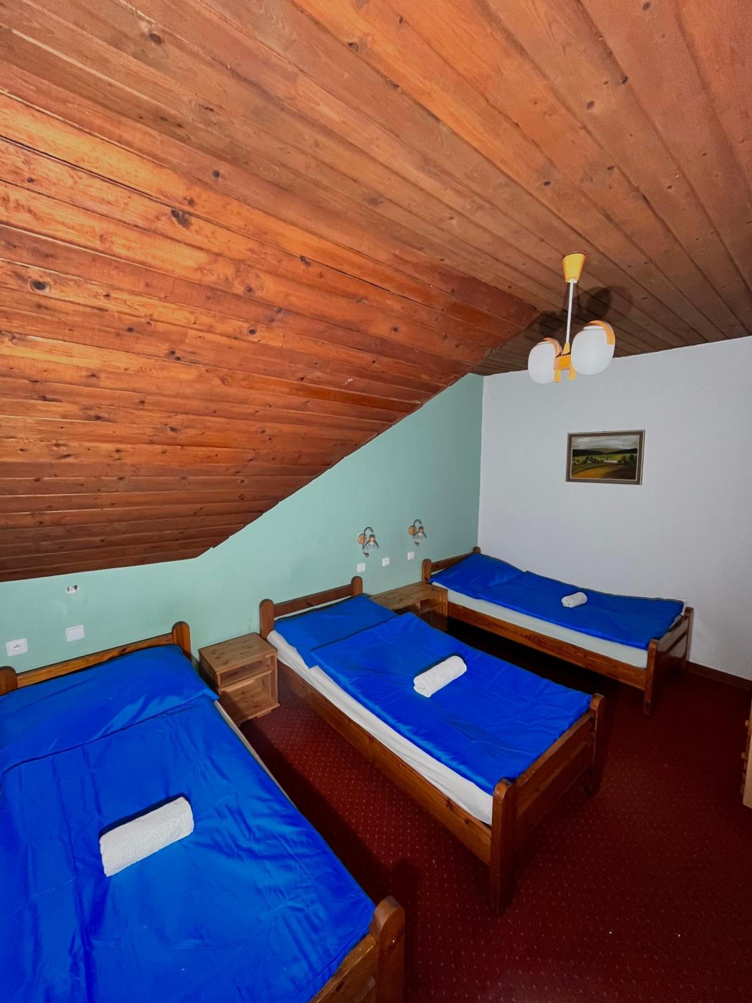 Vila Morava Hotel Liptovský Mikuláš Екстериор снимка